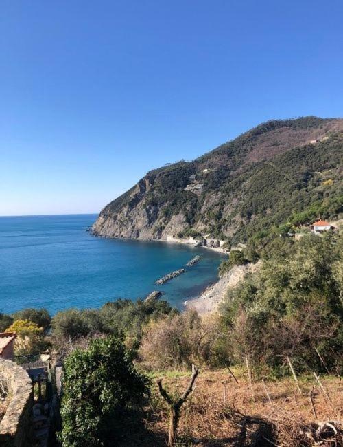 Eden Hotel Deiva Marina Buitenkant foto